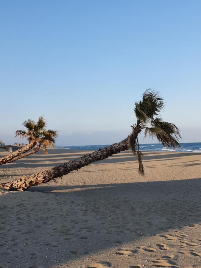 Reve Mediterraneen, La Vie De Chateau Le Barcares Bagian luar foto